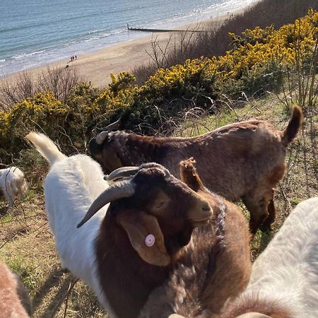 Flat-C, 4 Adults, 20 Mins To Beach, Netflix, Wifi, Sleeps 4 Adults Bornemouth Extérieur photo